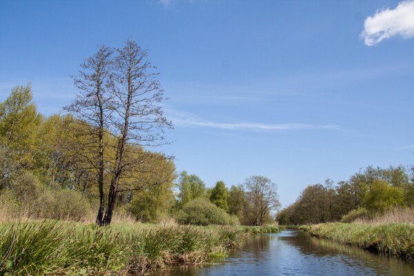 Foto van Vakantiehuis in Scherpenzeel - Vakantiehuis in Scherpenzeel (FR) - AreaSummer5KM