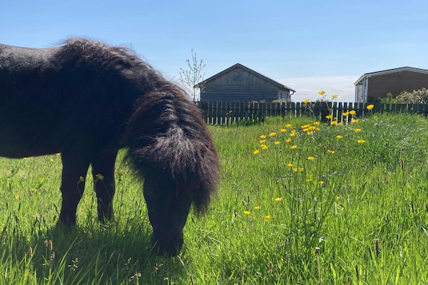 Foto van Huisjes in Friesland met Boerderijbeleving - Vakantiehuis in Tjerkgaast - ViewSummer