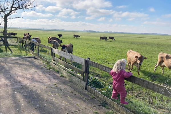 Foto van Huisjes in Friesland met Boerderijbeleving - Vakantiehuis in Tjerkgaast - ViewSummer