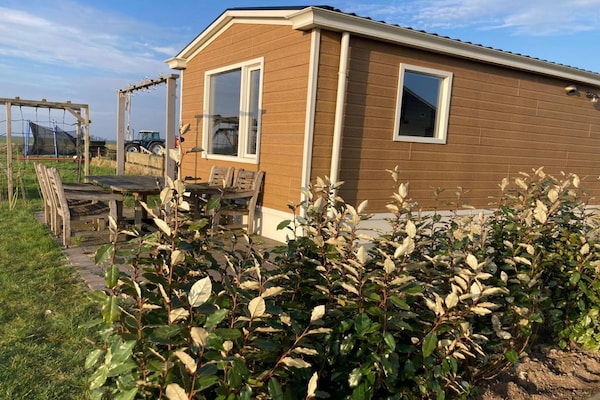 Foto van Huisjes in Friesland met Boerderijbeleving - Vakantiehuis in Tjerkgaast - ExteriorSummer