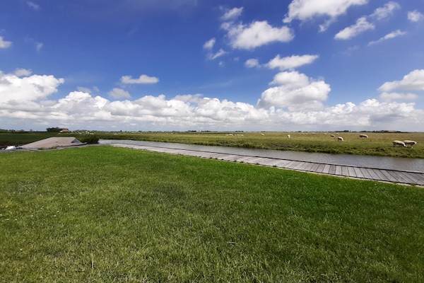 Foto van Twee naast elkaar gelegen luxe villa's in Friesland - ViewSummer