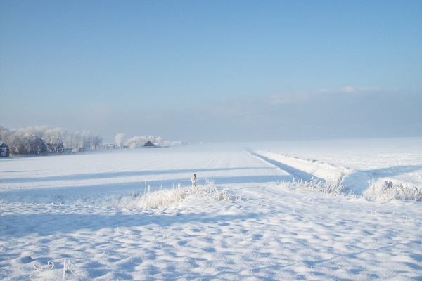 Foto van Boerderij in Holwerd bij de Zee - Vakantiehuis in Holwerd - AreaWinter1KM