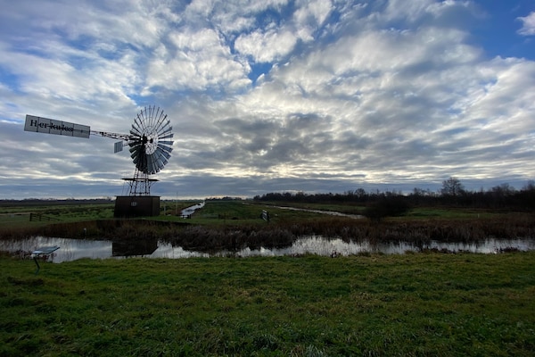 Foto van Friesland Chalet nabij het water - Vakantiehuis in De Veenhoop - Ambiance