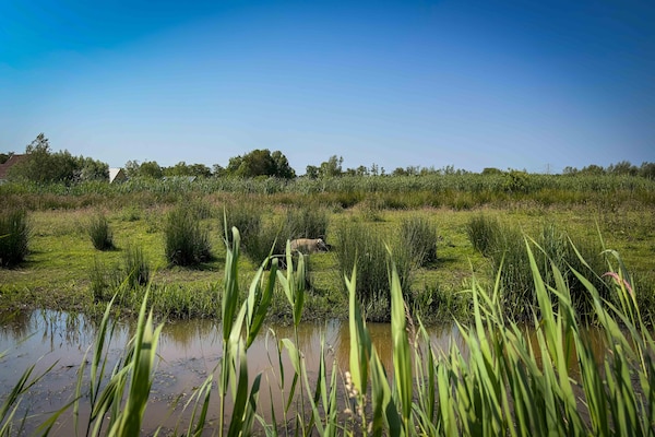 Foto van Vrijstaand Huis aan Kanaal in Friesland - Vakantiehuis in Jistrum / Skûlenboarch - AreaSummer5KM
