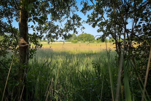 Foto van Vrijstaand Huis aan Kanaal in Friesland - Vakantiehuis in Jistrum / Skûlenboarch - AreaSummer5KM