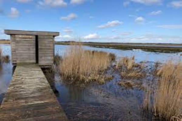Foto van Safaritent, Friesland - Vakantiehuis in Twijzel - AreaSummer5KM