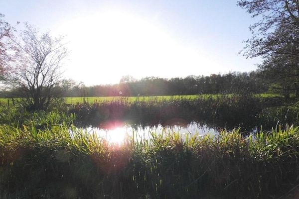 Foto van Safaritent, Friesland - Vakantiehuis in Twijzel - AreaSummer5KM