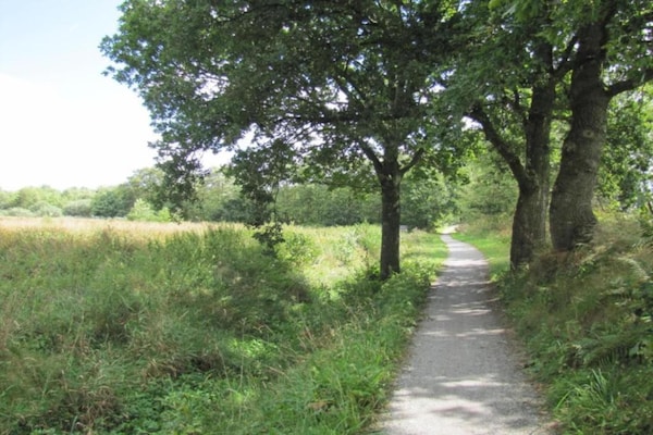 Foto van Safaritent, Friesland - Vakantiehuis in Twijzel - AreaSummer5KM