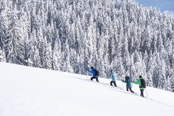 Foto van Appartement in Zillertal bij Spieljochbahn - Vakantiehuis in Fügen - AreaWinter20KM