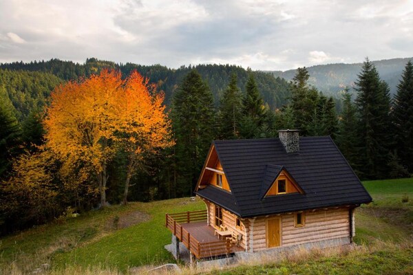 Foto van Comfortabele vakantievilla in de bergen, sauna - Vakantiehuis in Piwniczna Zdroj - ExteriorSummer