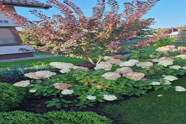 Foto van Appartement bij Szczecin Lagune - Vakantiehuis in Stepniczka - GardenSummer