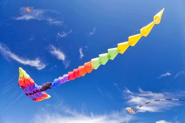 Foto van 3-kamerappartement op de begane grond - Vakantiehuis in Jaroslawiec - AreaSummer1KM